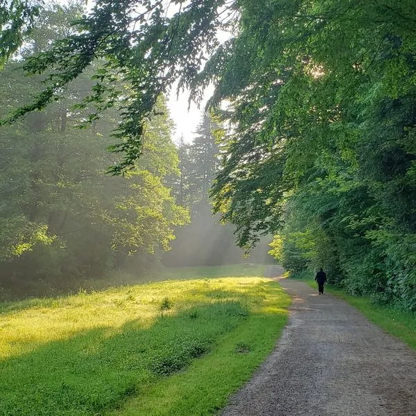 Promeneur sur un sentier brumeux au lever du soleil dans la vallée du Cens